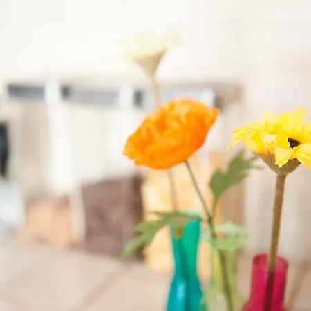 Old Town Bed & Breakfast 3*